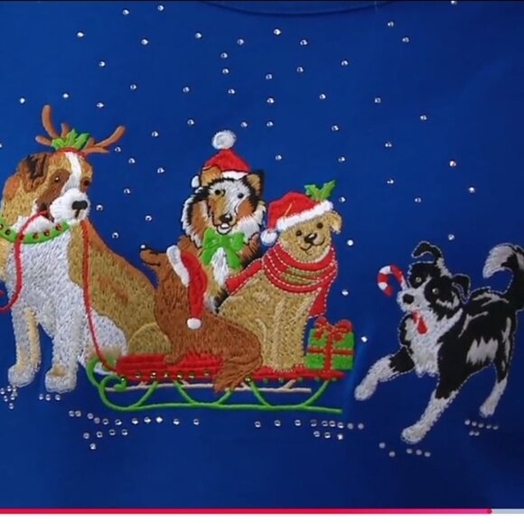 QUACKER FACTORY ALL IS BRIGHT HOLIDAY BLING 3/4 SLEEVE T- SHIRT SLED DOG DESIGN - Picture 3 of 12